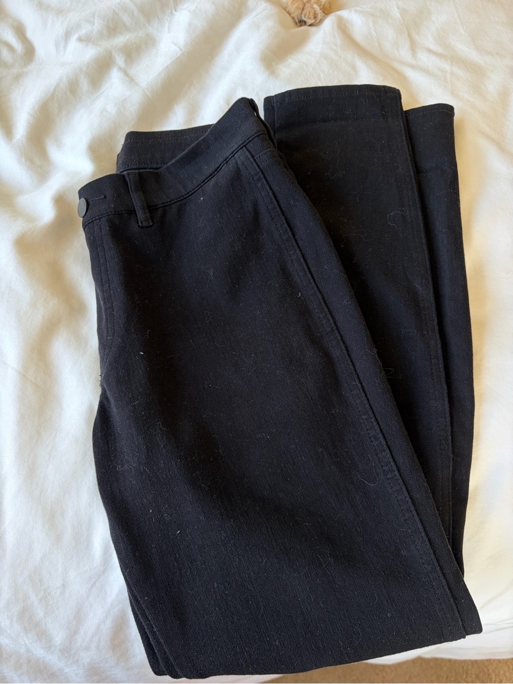 Uniqlo Black Jeggings